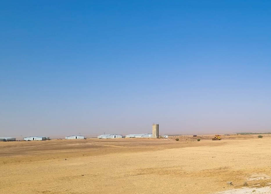  مشروع مزرعة للدجاج اللاحم