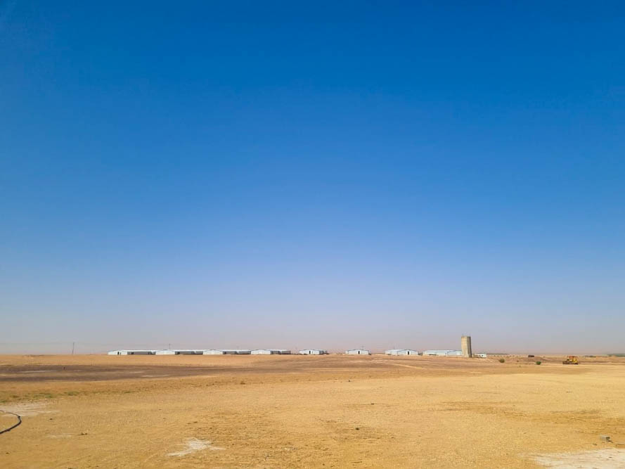  مشروع مزرعة للدجاج اللاحم