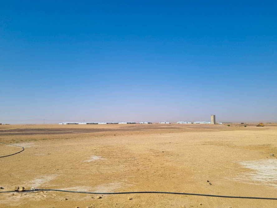  مشروع مزرعة للدجاج اللاحم